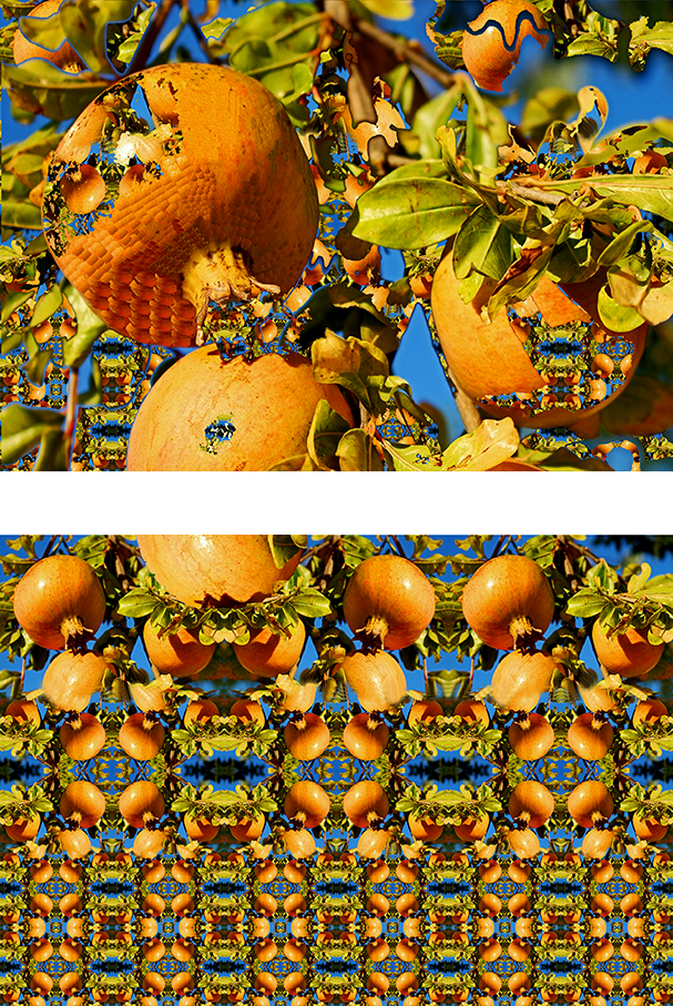 vage frucht, 2024, Pigmentdruck, zweiteilig à 45 x 60 cm